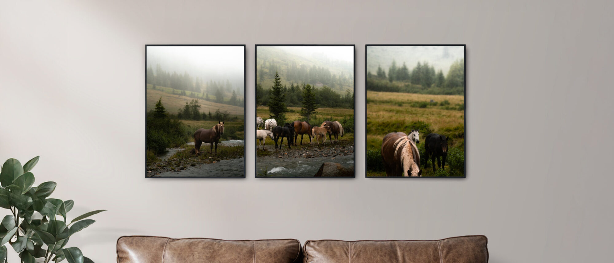 Between Woods and Water – Fine Art Print Serie Pferd & Natur