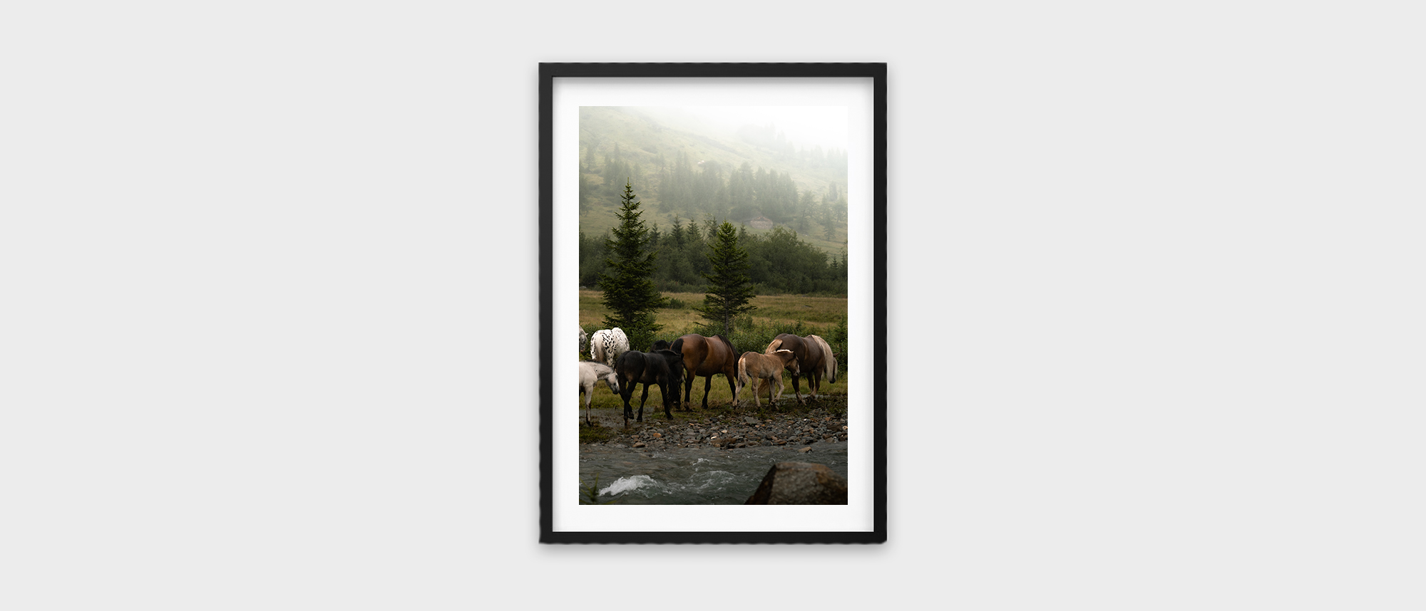 Gathering by the Stream – Fine Art Print Pferde am Fluss