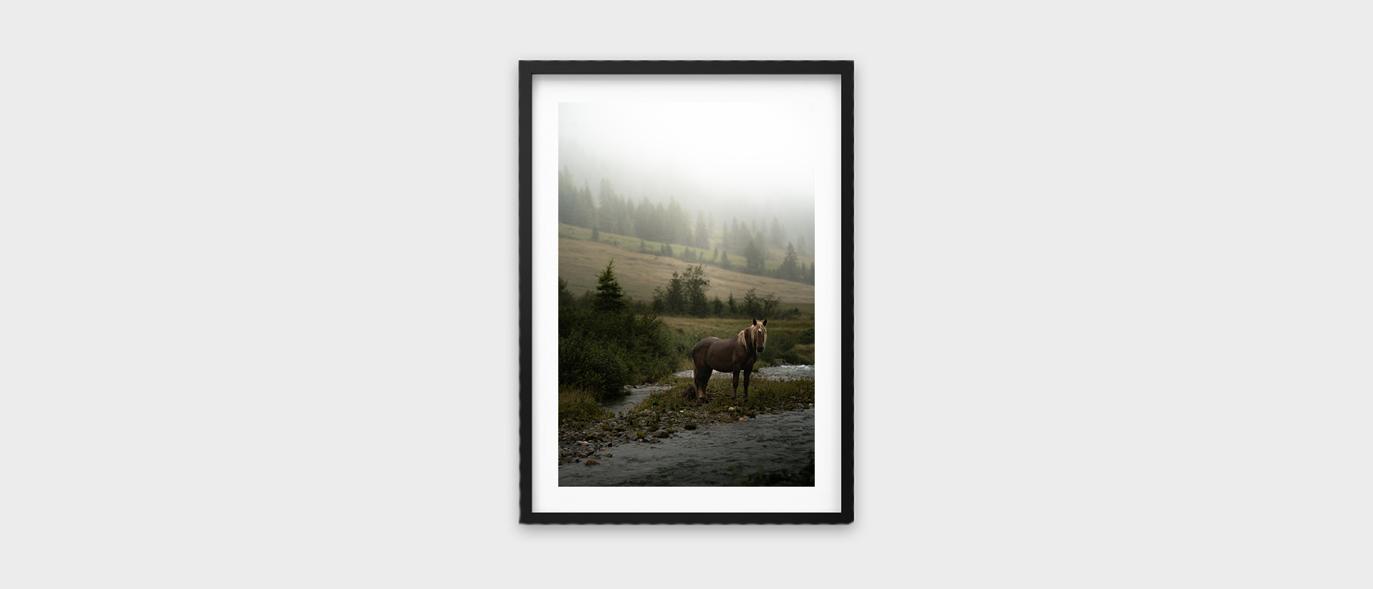 Into the Woods – Fine Art Print Pferd am Fluss