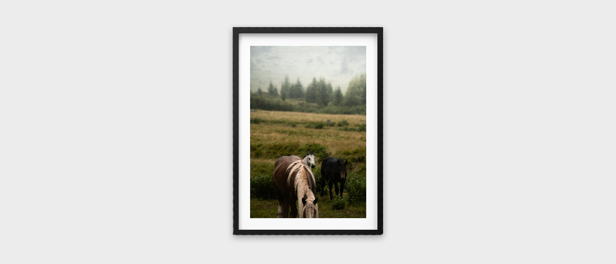 Rain’s Embrace – Fine Art Print Pferde im Regen
