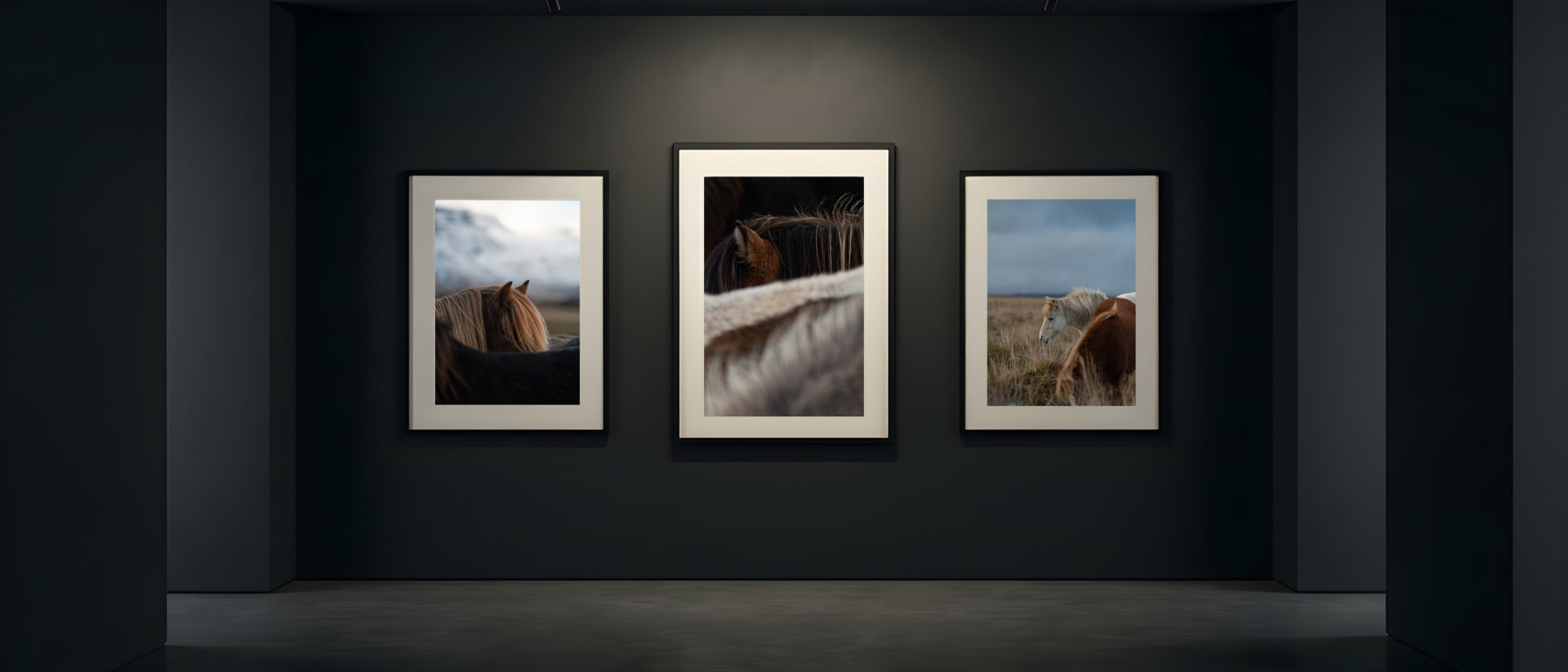 Echoes of the North – Fine Art Print Serie Icelandic Horses